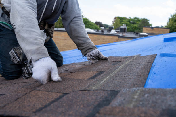 Best Shingle Roofing Installation  in Crossville, TN